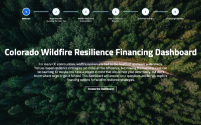 Fighting Fire with Funding: WaterNow’s New Wildfire Resilience Financing Dashboard